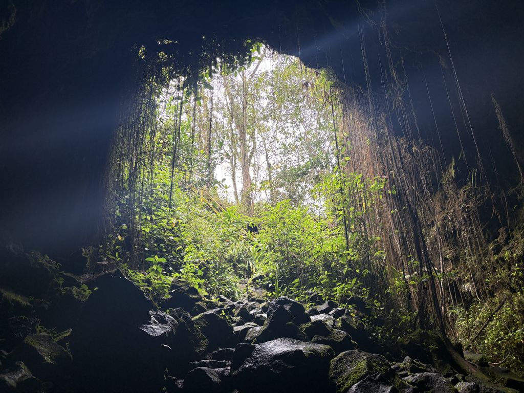 The entrance to Kaūmana Caves, a lava tube network in Hilo.